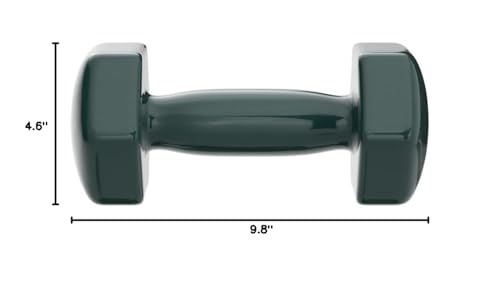 Basics Vinyl Coated Dumbbell Hand Weights, 15 Pounds, Pair, Teal