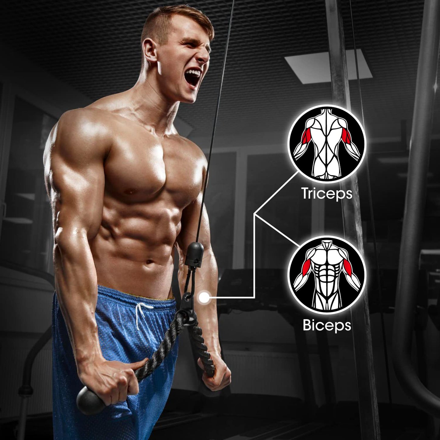 Yes4All Black Combo Tricep Pull Down Rope, Double D HandlesDown Straight Barchment